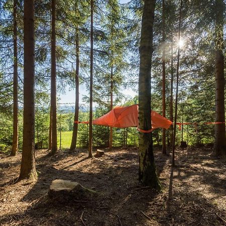 Hotel Baumzelt Am Waldesrand Regen Exteriér fotografie