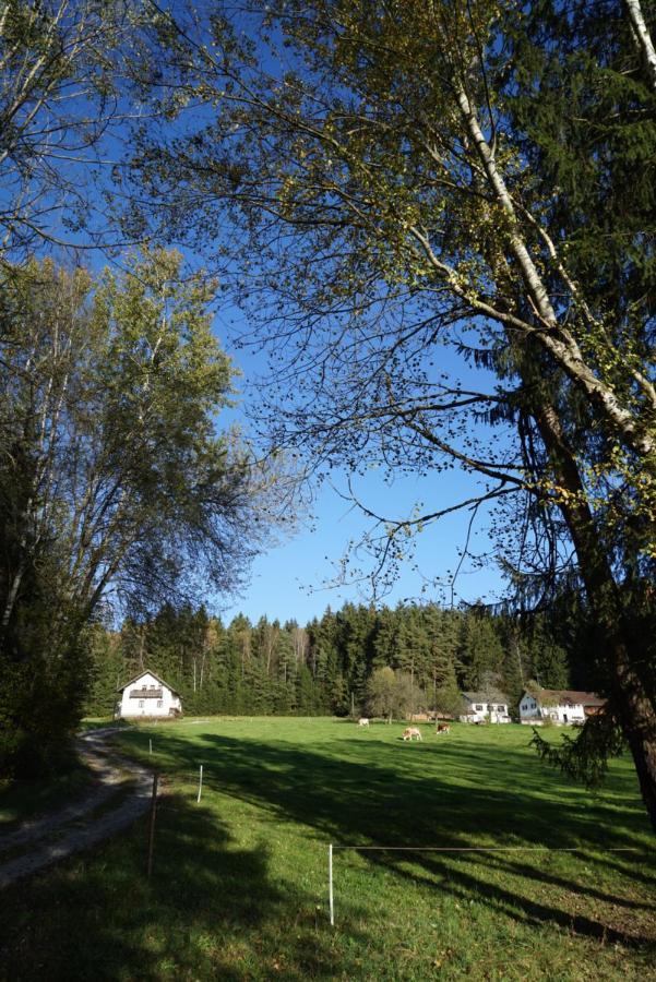 Hotel Baumzelt Am Waldesrand Regen Exteriér fotografie