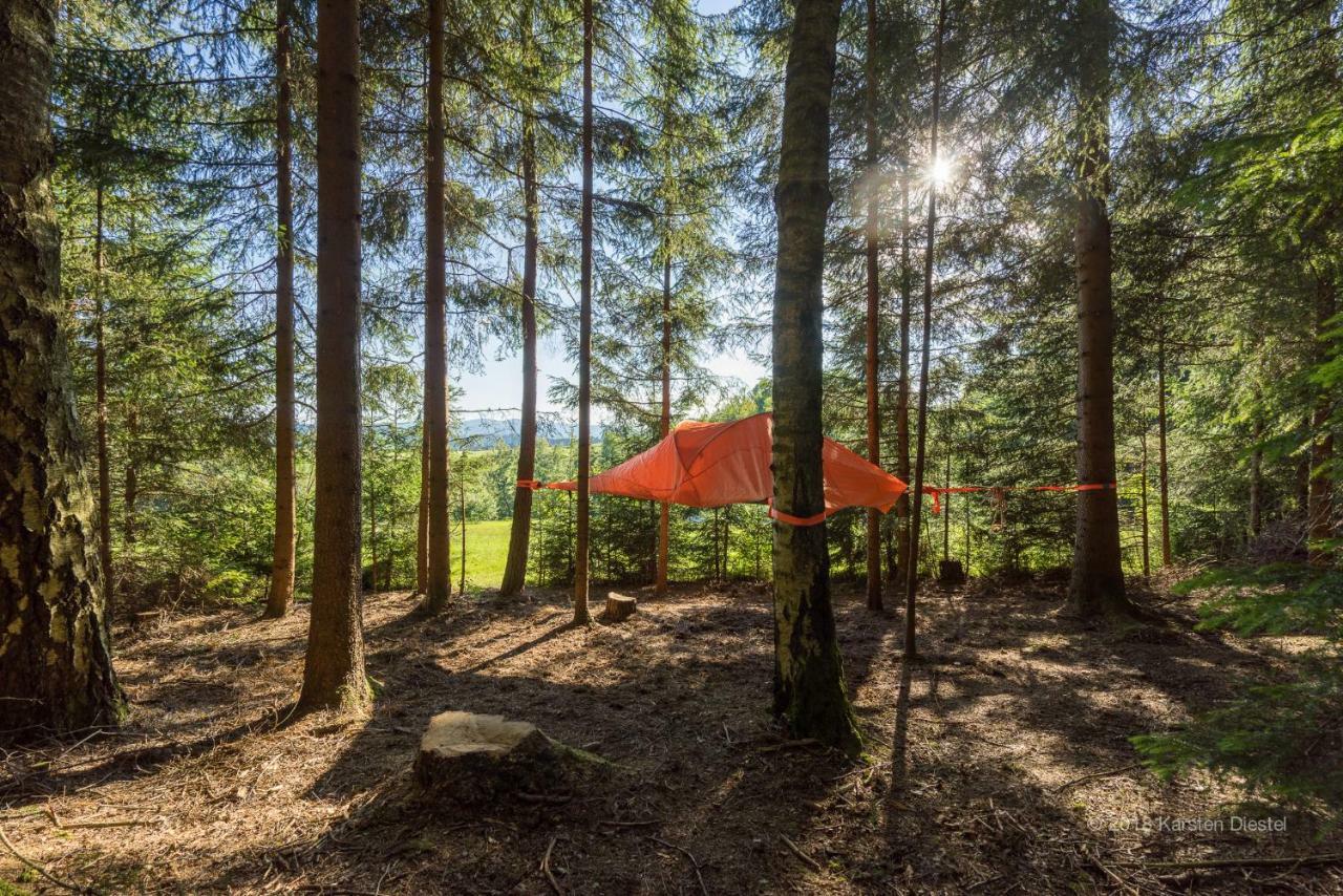 Hotel Baumzelt Am Waldesrand Regen Exteriér fotografie