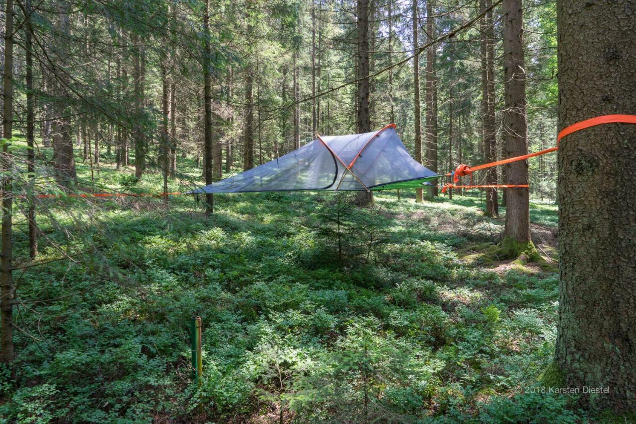 Hotel Baumzelt Am Waldesrand Regen Exteriér fotografie